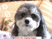 ARK: Mitsie die singende hondjie * Mitsie the singing doggie